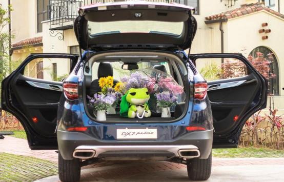 国产女性高颜值车视频,高颜值女性专属车款视频大盘点